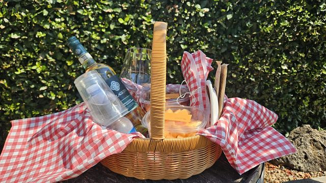 Picnic among the rows of Vernaccia di San Gimignano vines