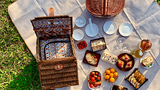 Weinbergpicknick bei Cantine Capitani: Tour & Wein