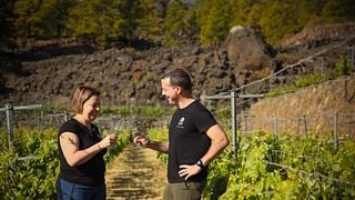 Bodegas Ferrera