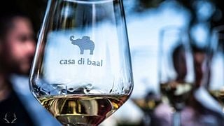 Campania Wine & Olive Tour at Casa Di Baal