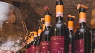 Weinprobe bei Dirupi