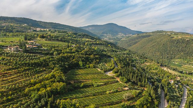 Degustação de vinhos em Scriani