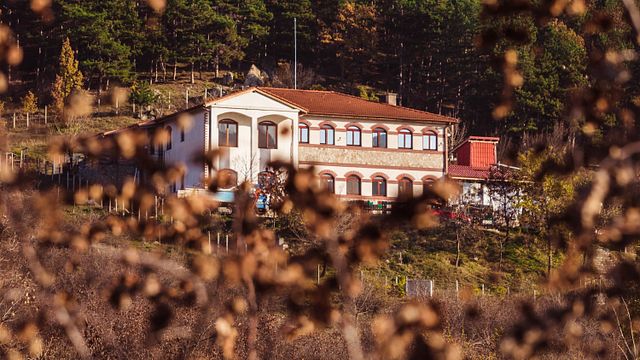 Descubra los vinos del Dominio Trifonoff: tour de vinos y cata