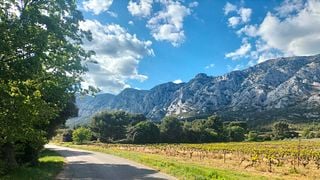 Más que un tour de vinos: un día como un local en el auténtico campo