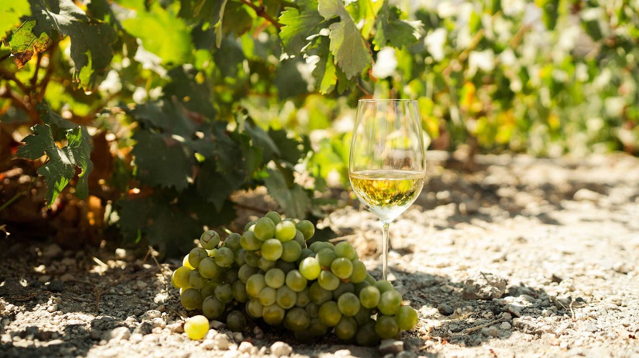 Tour privato del vino