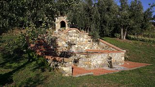 Dégustation de vins et visite à l'Agriturismo San Martino