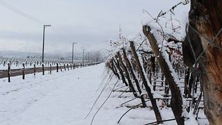 Cata y Visita de Vinos en Bodegas San Huberto