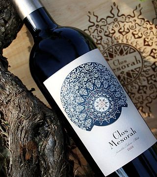 Catalonia Wine Adventure: Tasting & Vineyard Tales