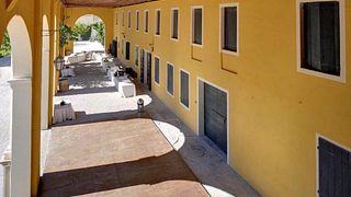 Les vins de Piave et les saveurs locales