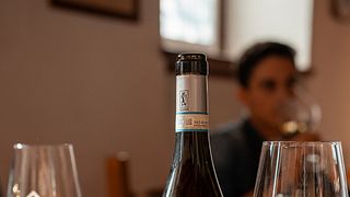 Dégustation de vins et visite chez Il Pignetto