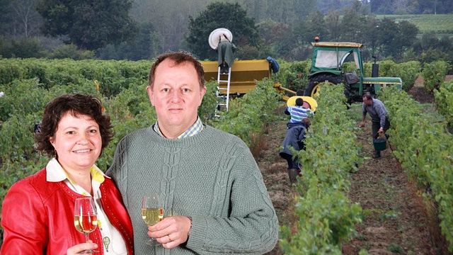 Cata de vinos y visita guiada al Domaine du Pont De Livier