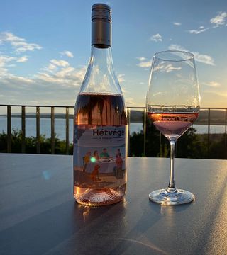 Degustazione di vini con una vista eccellente sul Lago Balaton