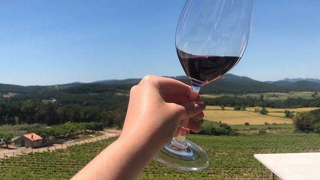 Pla De Morei Winery