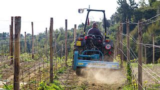 Wine Tasting and Tour at Podere Anima Mundi