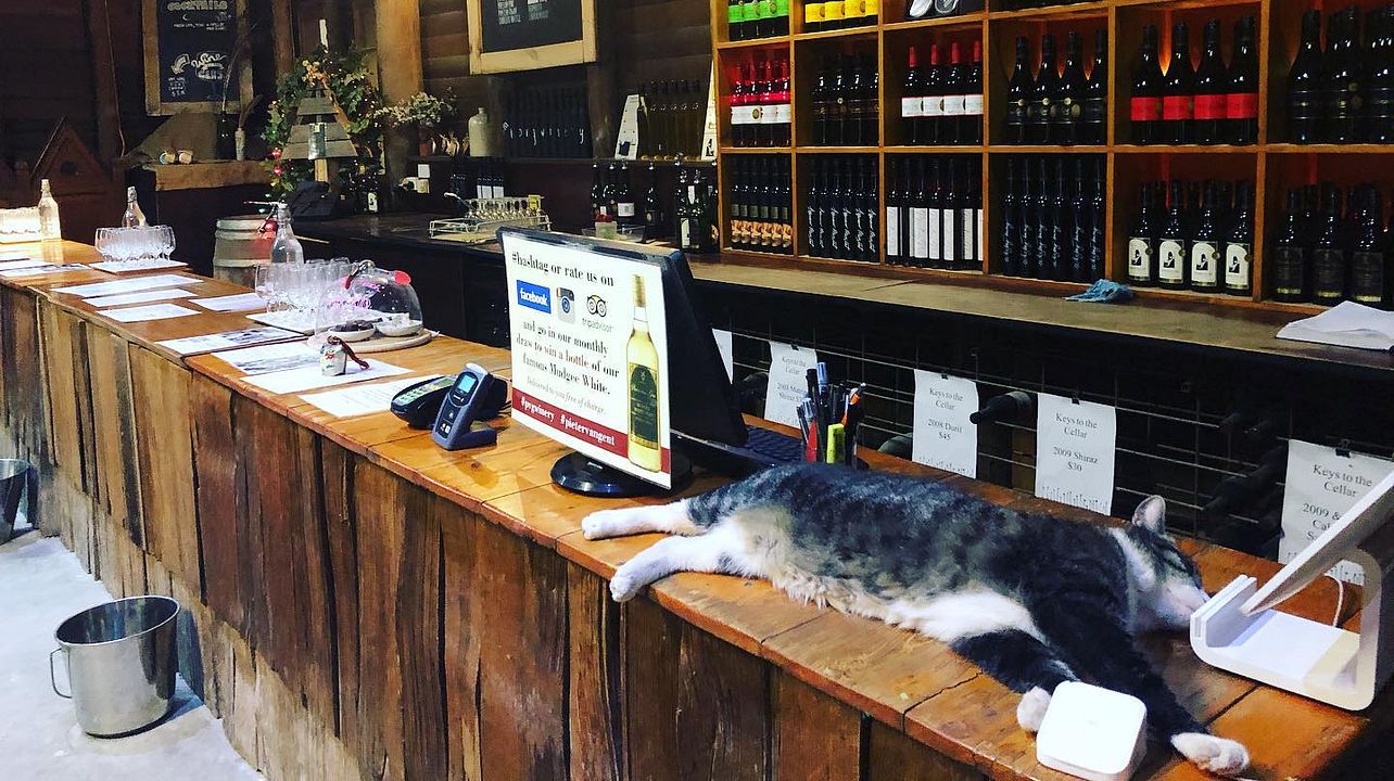 Pieter Van Gent Winery
