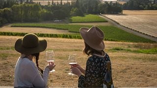Oregon Wine Adventure at Anne Amie Vineyards