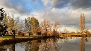 Degustação de vinhos e caminhada relaxante no vinhedo da vinícola Annafrancesca - Experiência exclusiva
