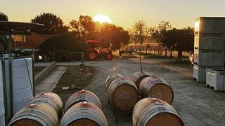 Weinprobe und Tour bei Smidge Wines