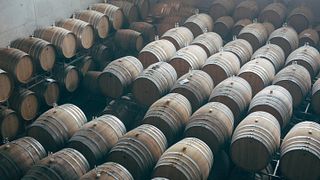 Degustação de vinhos e passeio em Weingut Dreissigacker