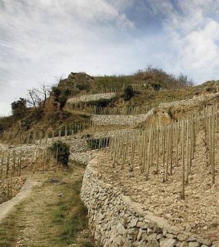 M. Chapoutier Winery