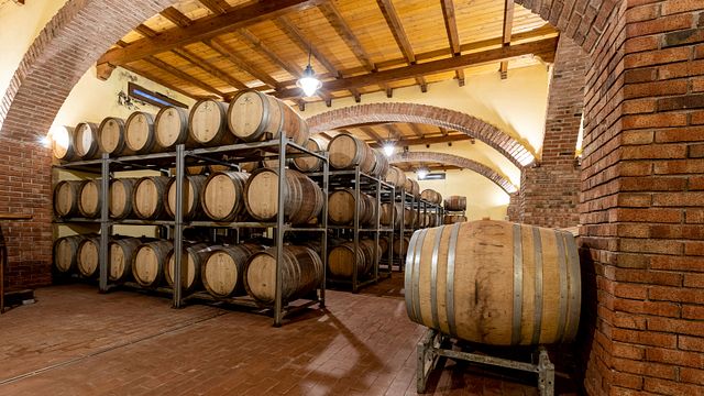Expérience Biodynamique