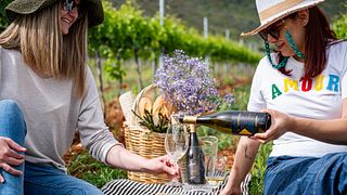 Dégustation de vins et visite du domaine viticole Lafazanis