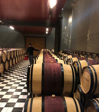 Experiencia en vinos Chianti Classico
