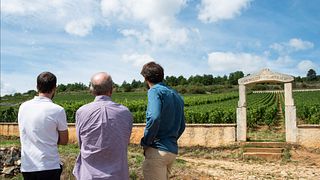 Desde Dijon: Día completo por lo mejor de Borgoña y almuerzo.