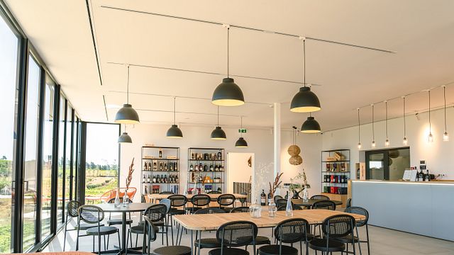 Bienvenida de Martha - Cata de DOC, Oporto y licores en Martha's Wines & Spirits