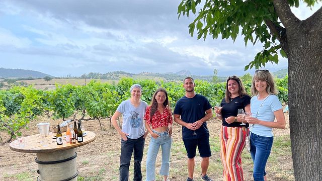 Halbtägige Weinprobe-Tour rund um Calvi und Île Rousse