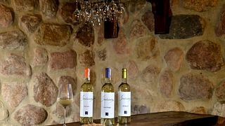 Lublin Region Wine Tour & Tasting at Sienkiewicz