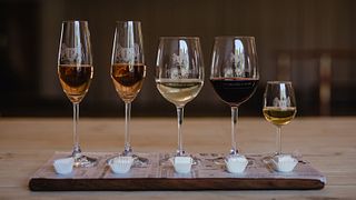 Cata de vinos y visita guiada en Perdeberg