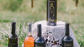 Zurück zu den Wurzeln Weinprobe im Weingut Krolo