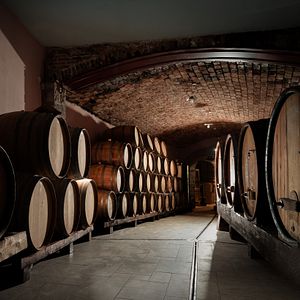 Dégustation de vins et visite des vignobles Stekar