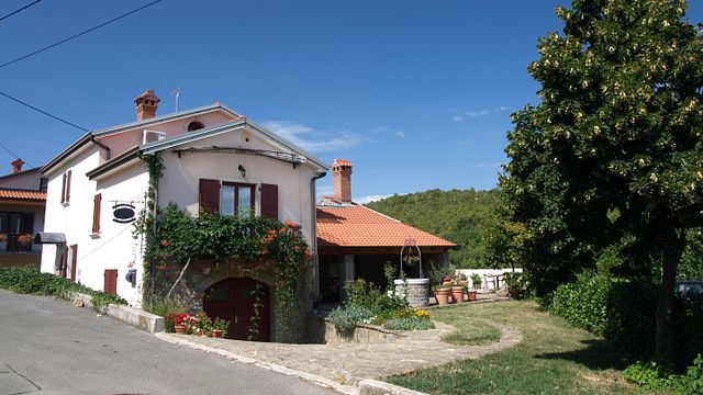 Cata de vinos y visita guiada en Domačija Ražman
