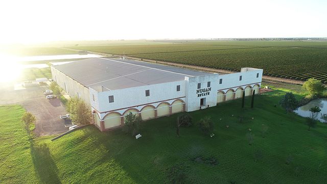 Degustazione di vini e tour alla Nugan Estate