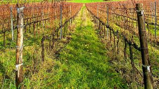 Tenuta Palazzona Di Maggio