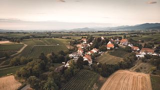 Weinprobe im Weingut Rieger