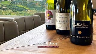 Degustação de vinhos e tour em Matteo Soria