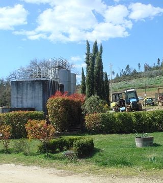 Casanuova