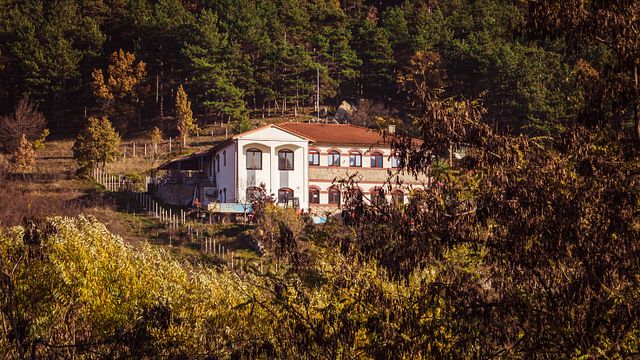 Taste the Finest Wines at Domain Trifonoff