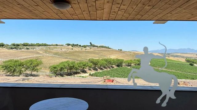 Visit and Tasting at Bodega Tesalia