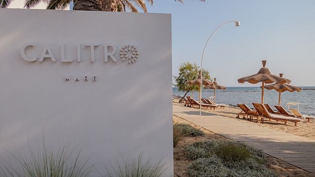 Verkostung von 5 Weinen | Calitro