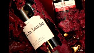 Cata de vinos y visita guiada en Val Da Lenda