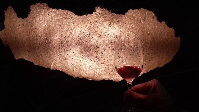 Mas d'Intras: Family-Owned Organic Winery