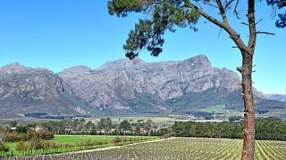 Degustazione di vini e tour presso Topiary Wines
