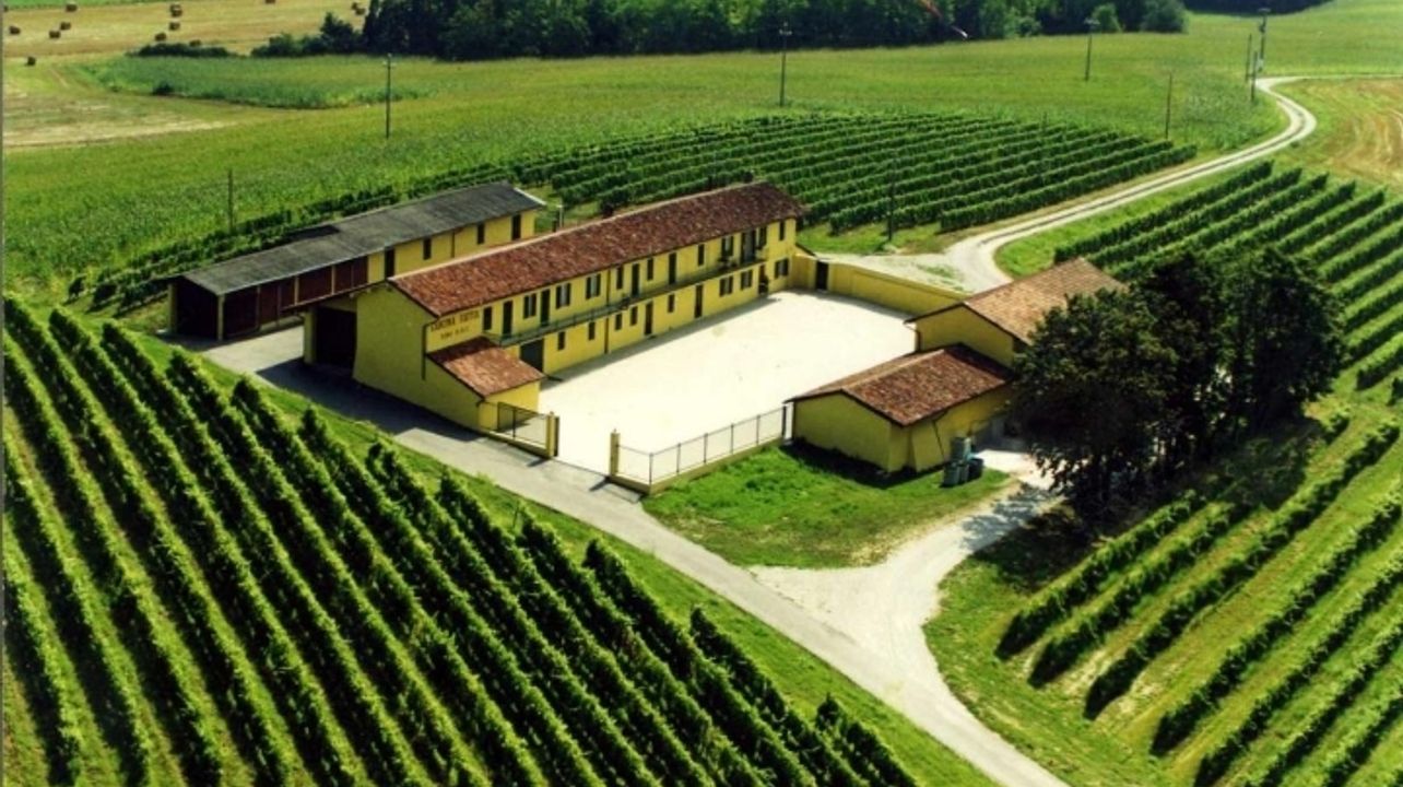 Azienda Vitivinicola Cascina Fietta - Calvo Mario