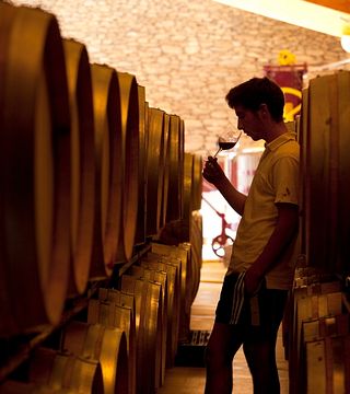 Visita guiada e degustação de vinhos na vinícola Hidden Secrets
