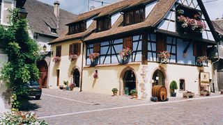 Alsace Organic Wine Journey at Schmitt-Carrer