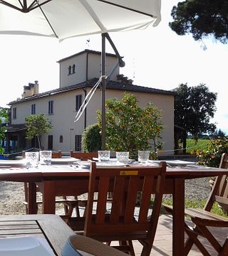 Tour + Degustazione 4 Vini, Formaggi & mini Bruschette a Terre di Perseto nel Chianti Classico 